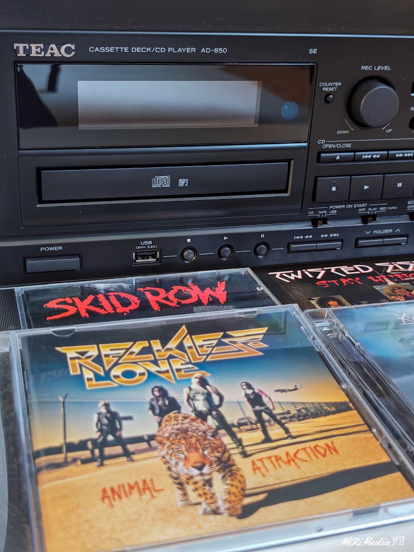 Bad Record Store: products sold in shop