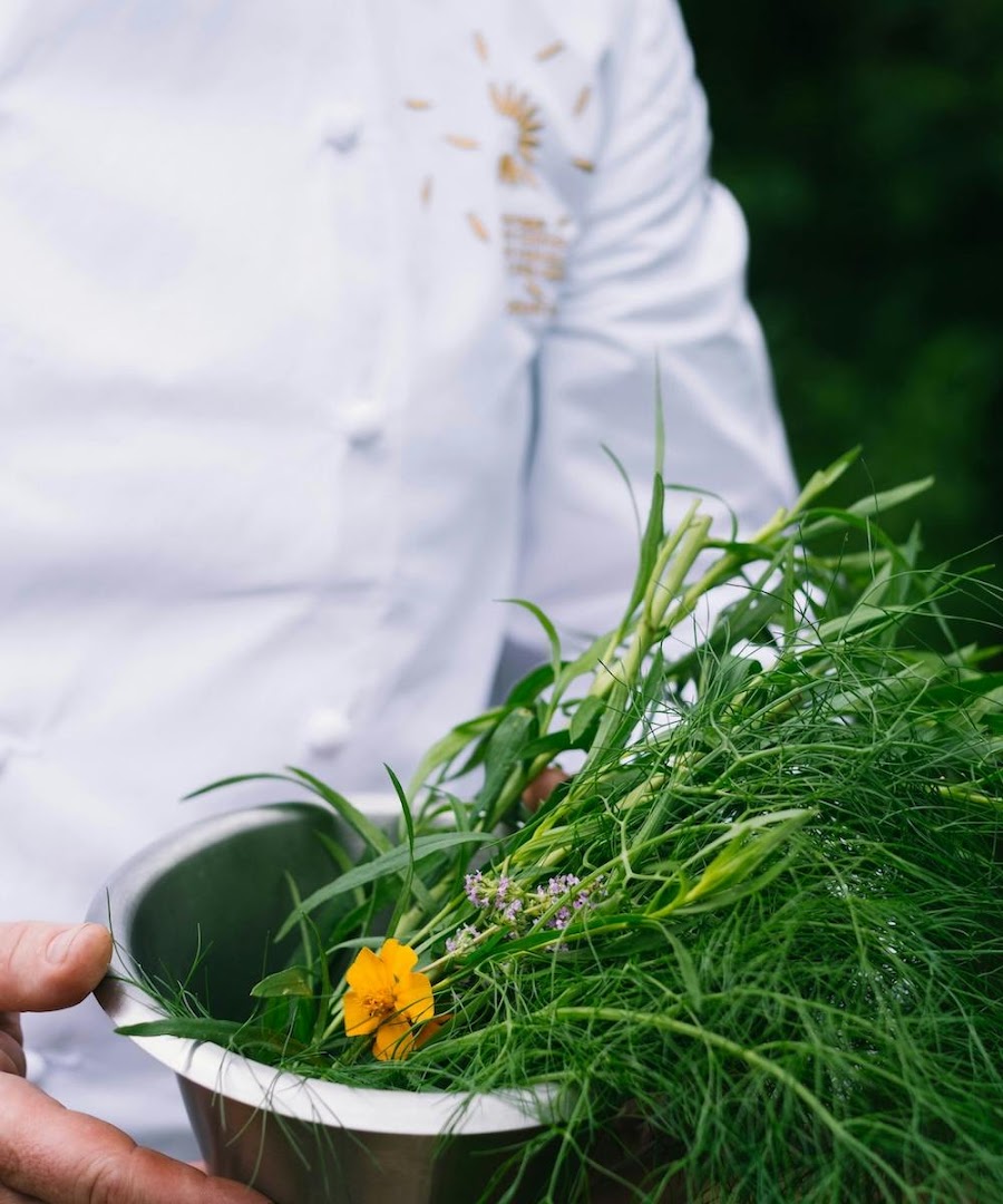 La Table des Jardiniers: professional photo of fresh ingredients