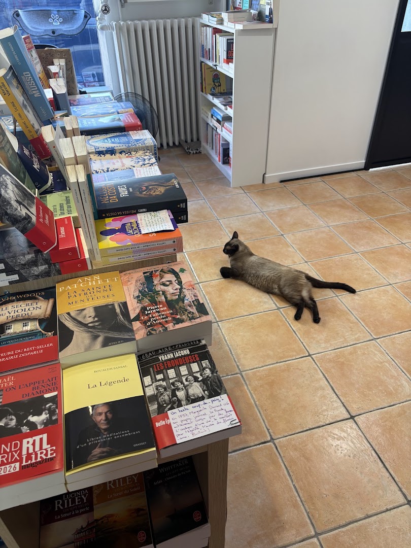 Mon Chat Pitre Versailles: charming shop atmosphere with cat