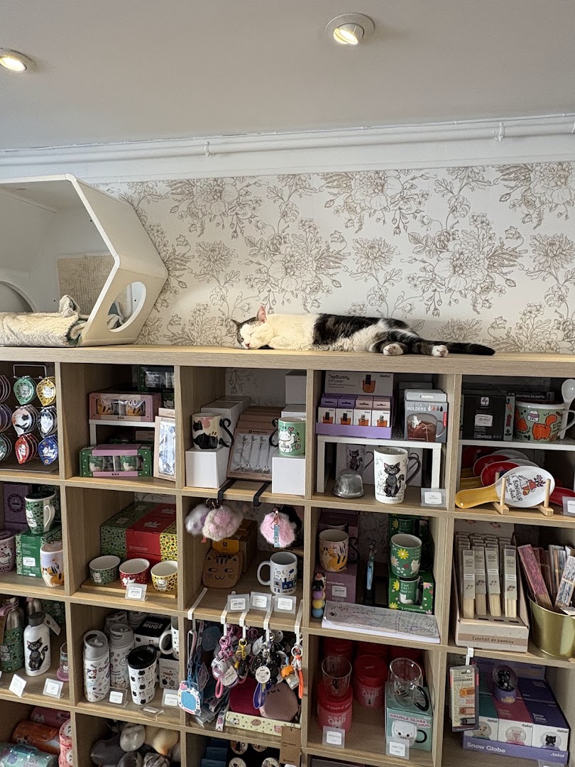 Mon Chat Pitre Versailles: shop products and cat