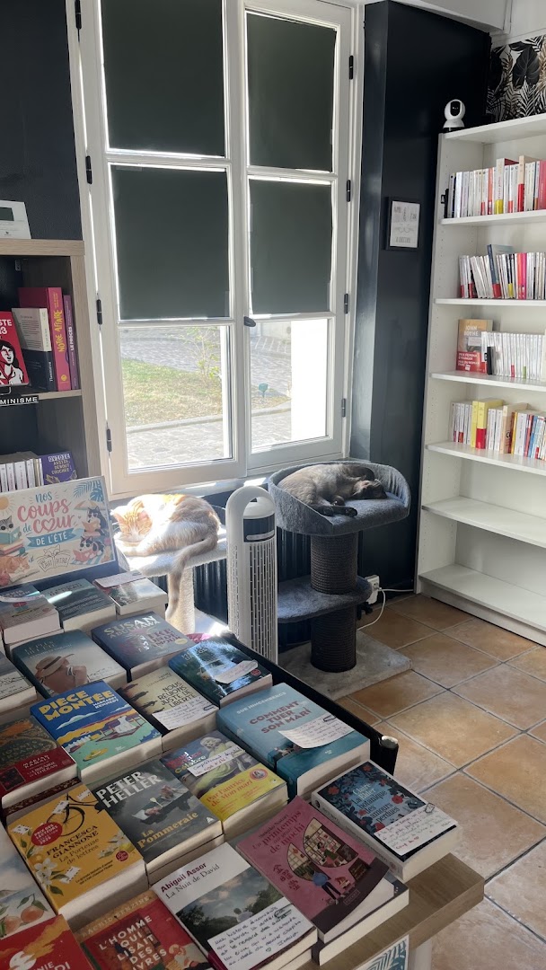 Mon Chat Pitre Versailles: inviting shop atmosphere with cats