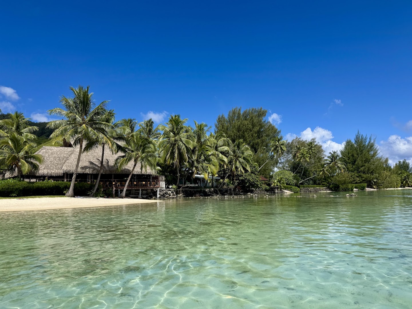 Taianapa Concept House Moorea: beautiful exterior view of venue
