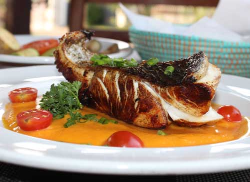 Gusto Italian Restaurant & Bar: appetizing, high-quality food photography
