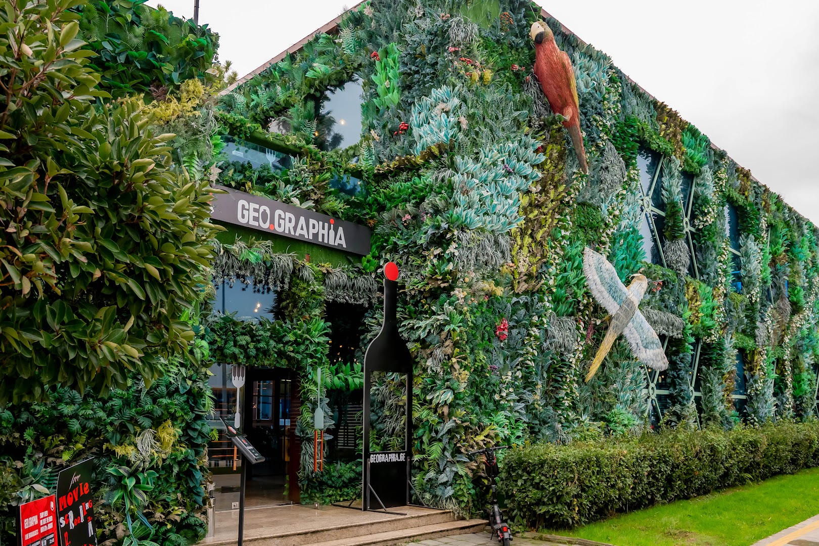 Geo.graphia: attractive exterior shot of restaurant