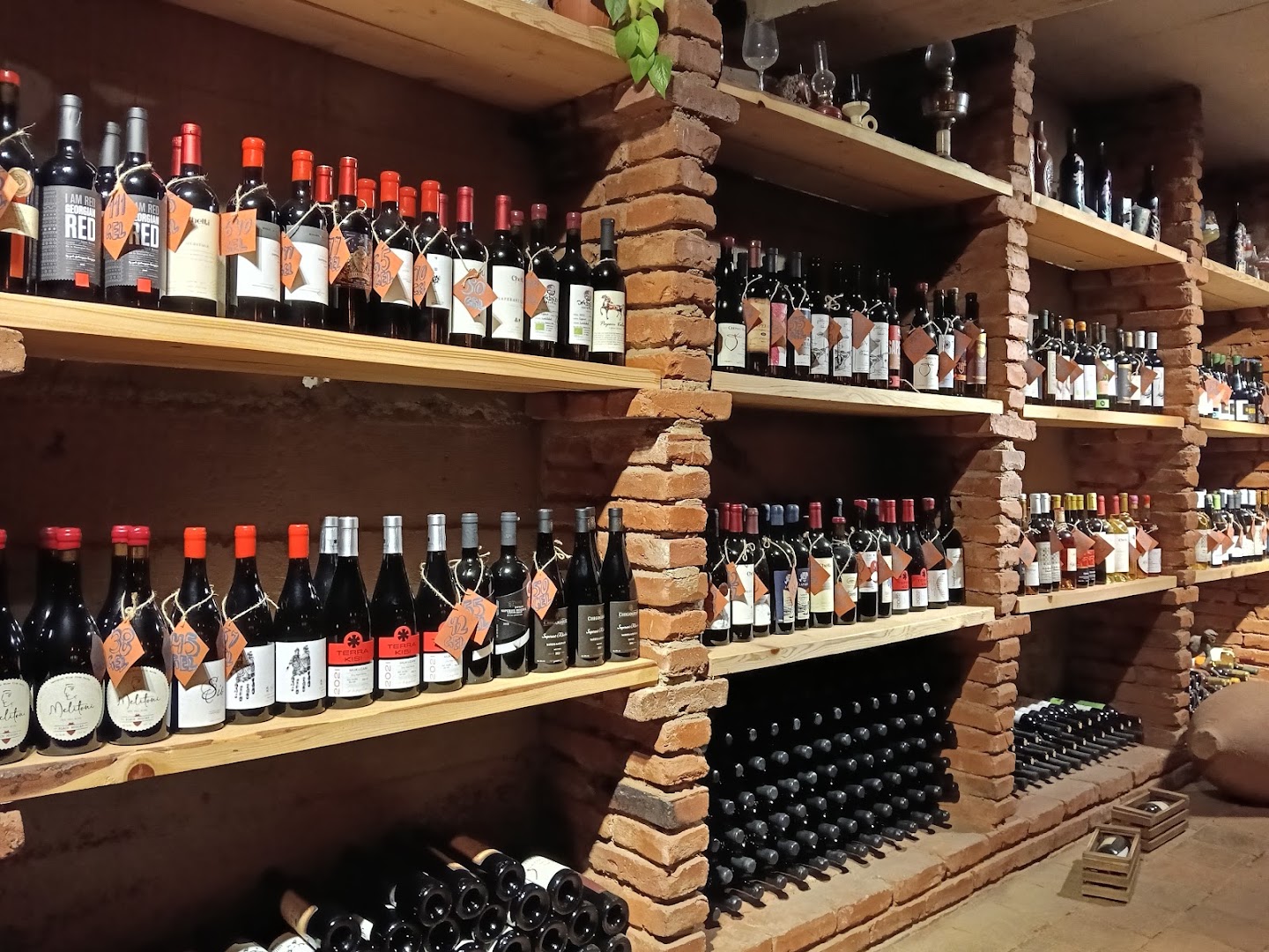 Wine vibes: attractive display of wine bottles