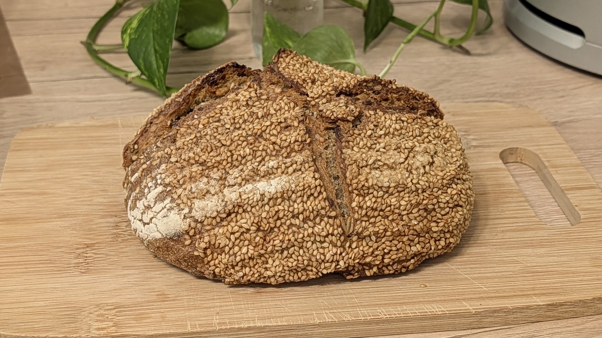 Hausbrot: appetizing photo of shop product