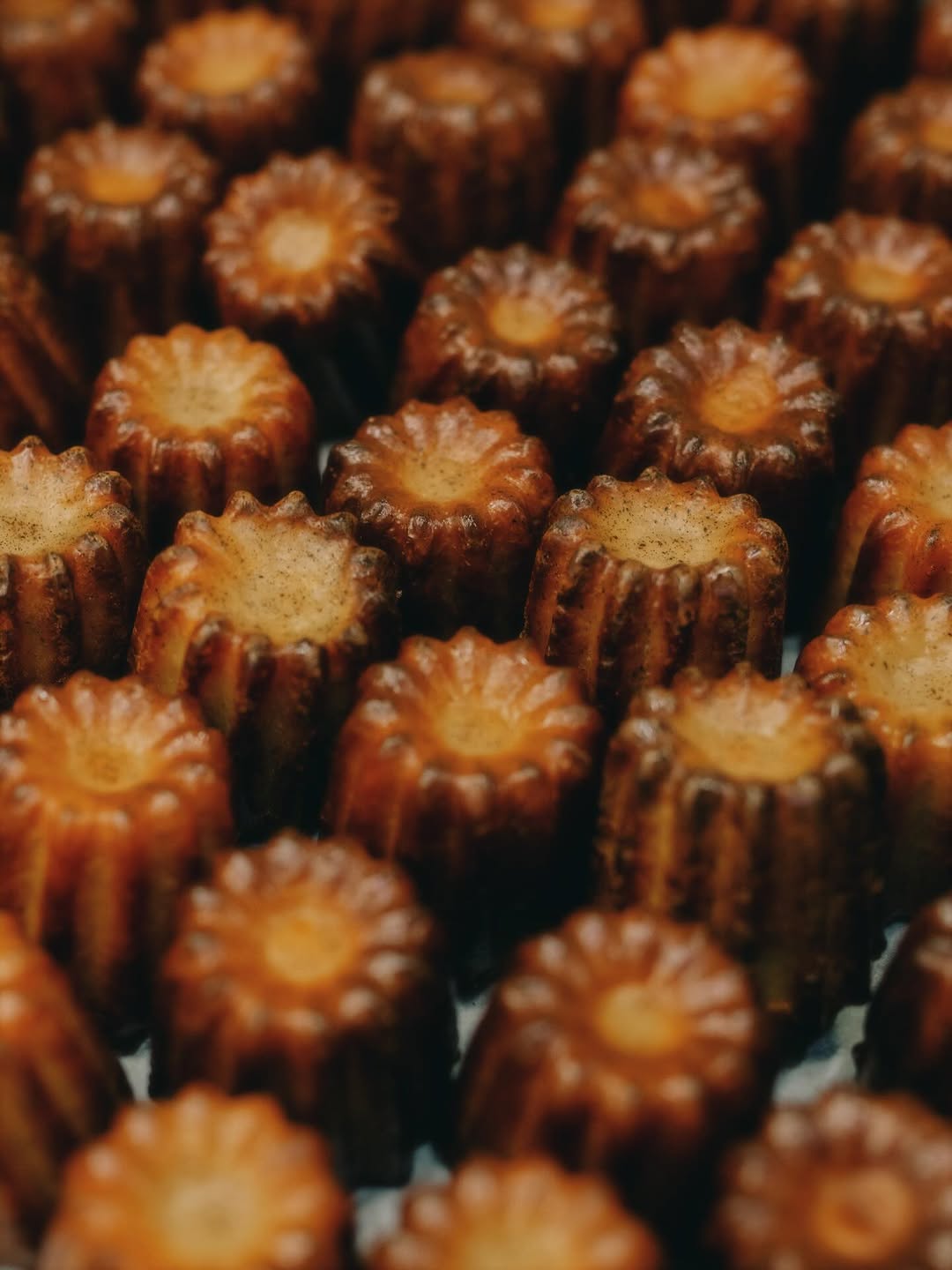 Pure Pastry: high quality appetizing food photo