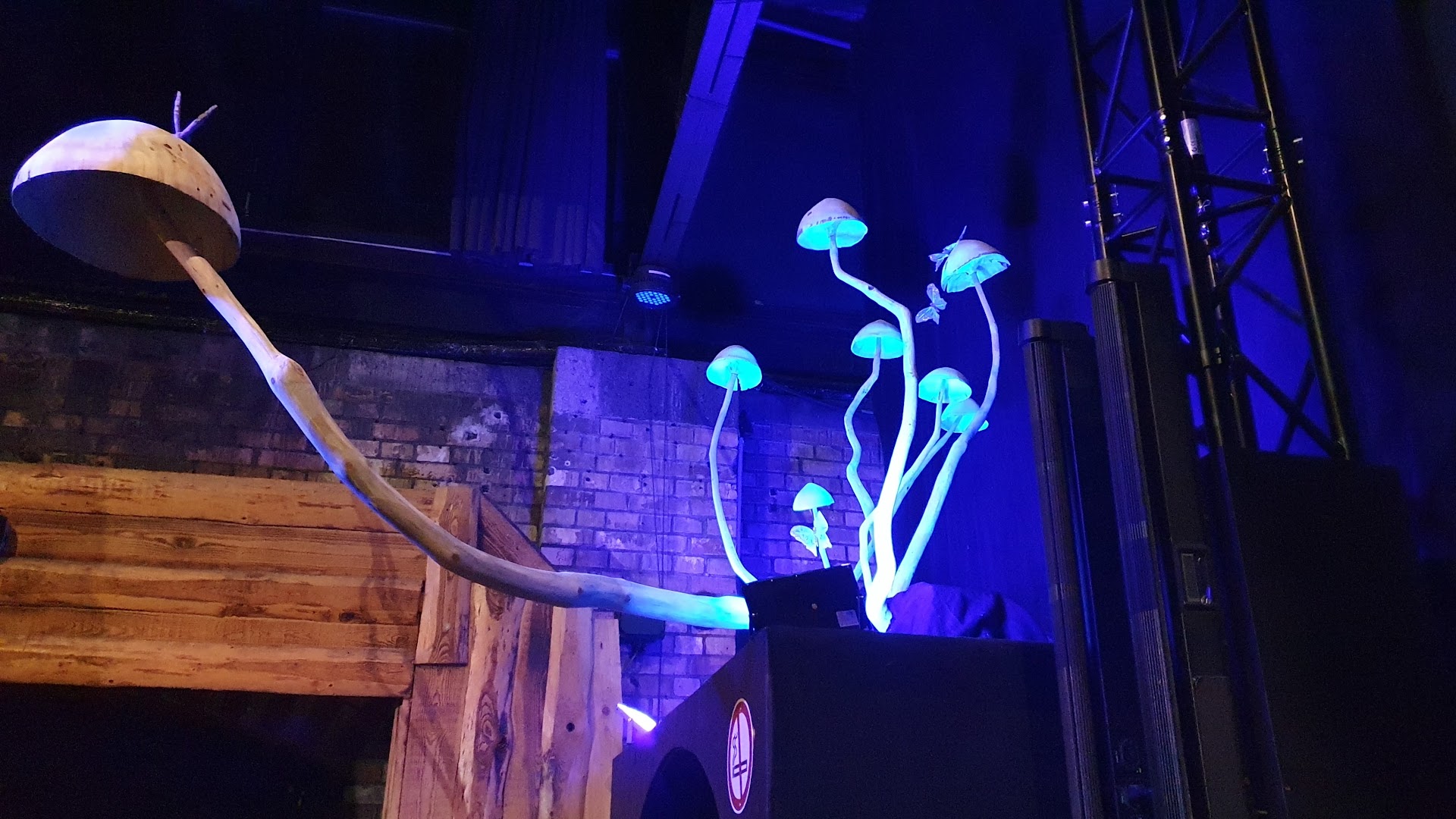 Kalif Storch: venue exhibition and atmosphere