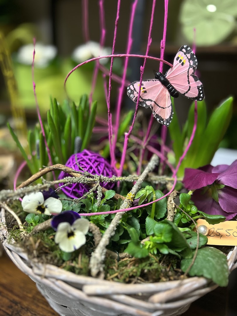 Zauberblüte: high quality product display photo