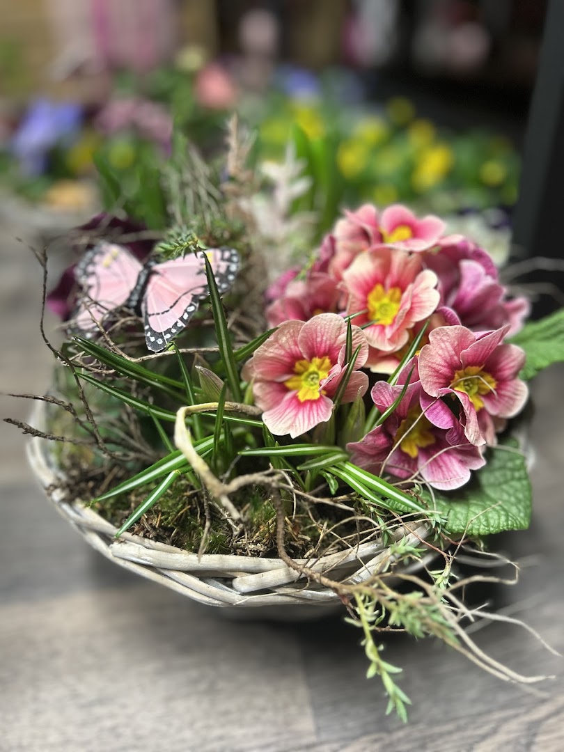 Zauberblüte: high quality product display photo