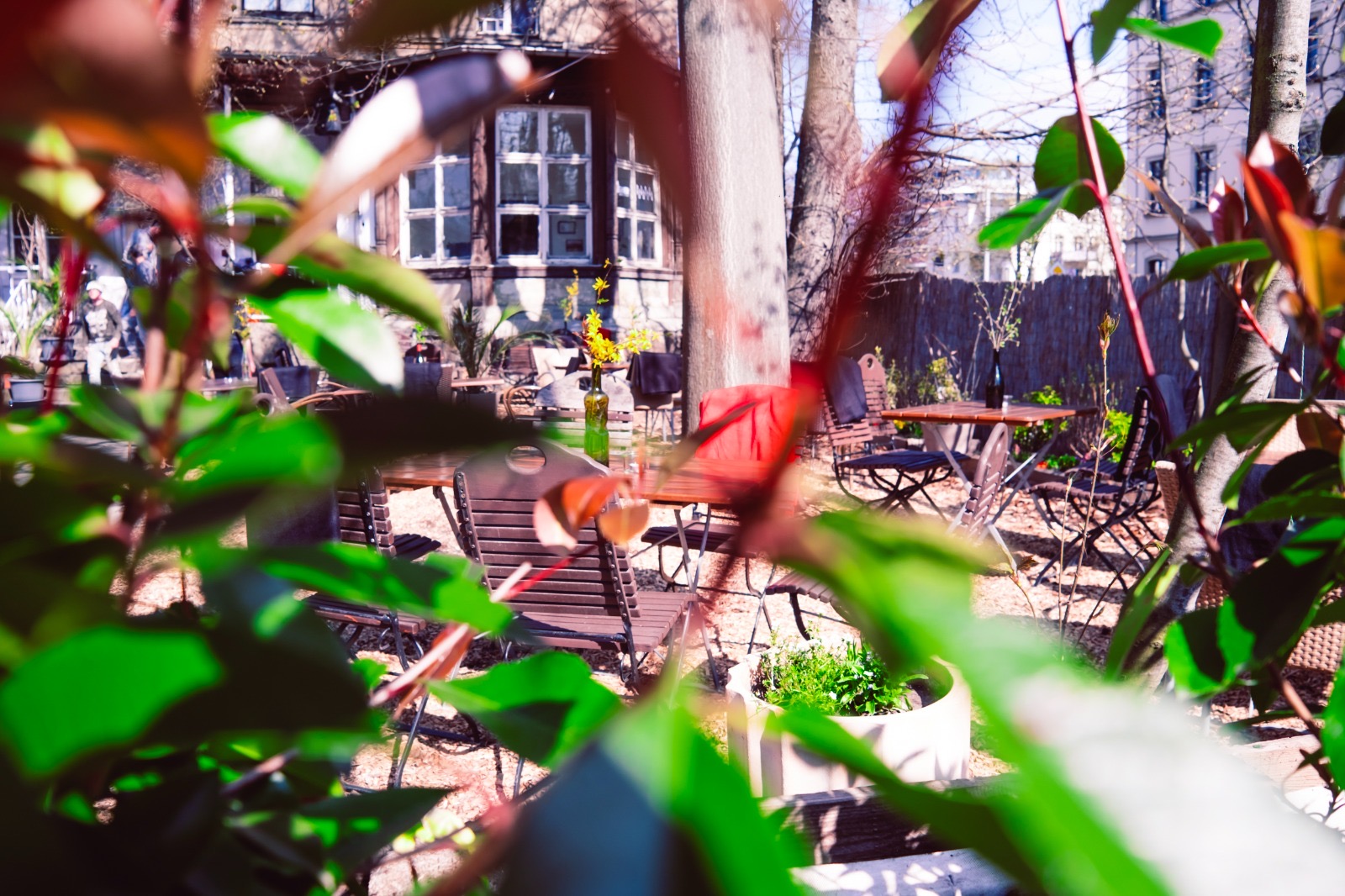 BLÜTHNER Weincafé: inviting outdoor terrace atmosphere