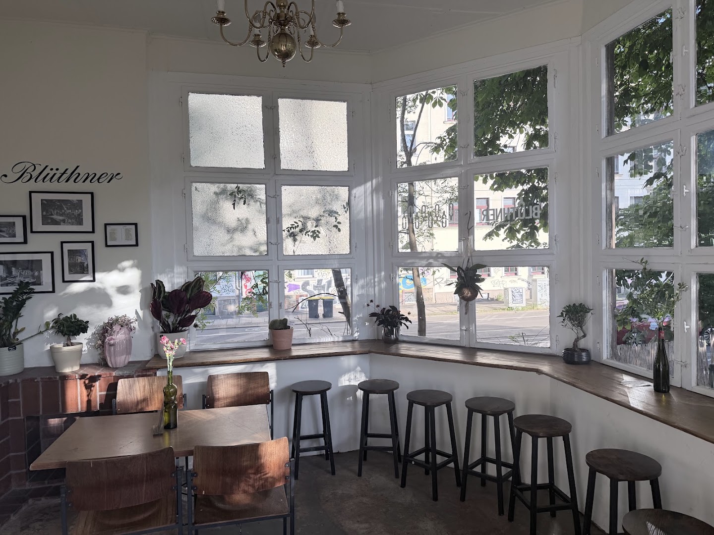 BLÜTHNER Weincafé: inviting and well-composed interior shot