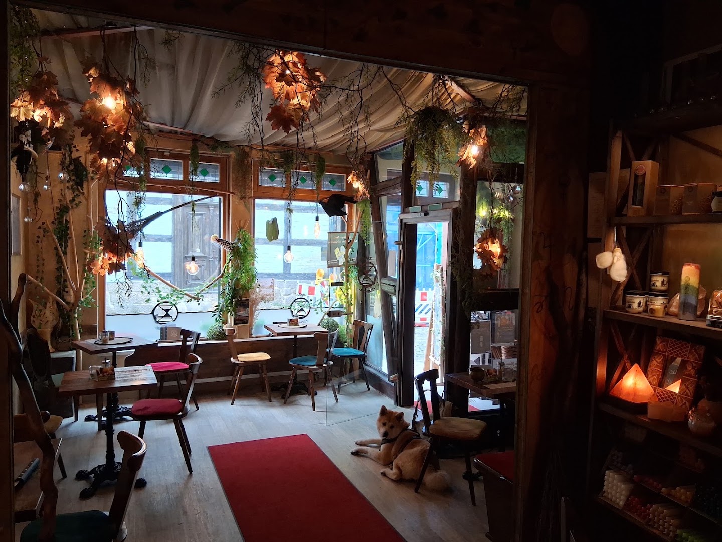 Café HarzAlchemie: inviting and atmospheric interior shot