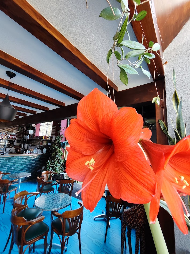 Café Panzer: attractive interior with vibrant flowers