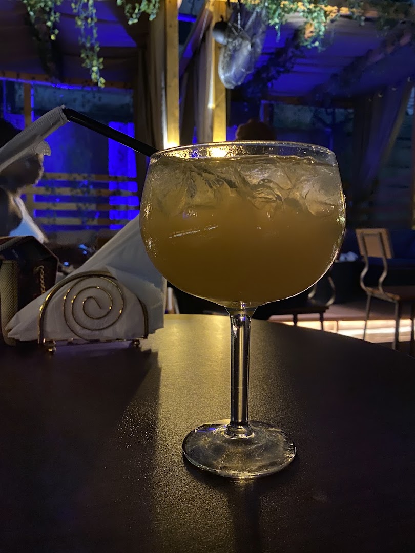 Bloom Bar: appealing photo of a cocktail