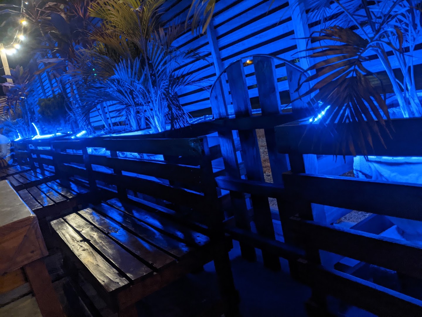 Monte Karlo Bar and Restaurant: venue atmosphere and lighting