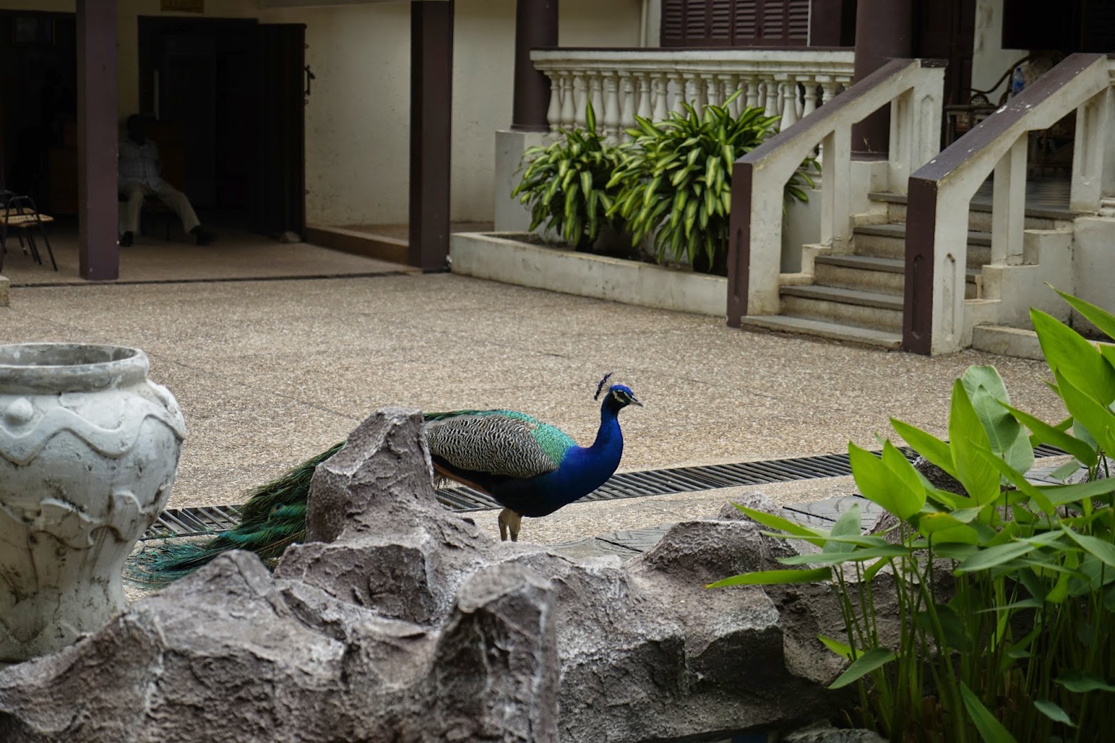 Manhyia Palace Museum: venue grounds and atmosphere