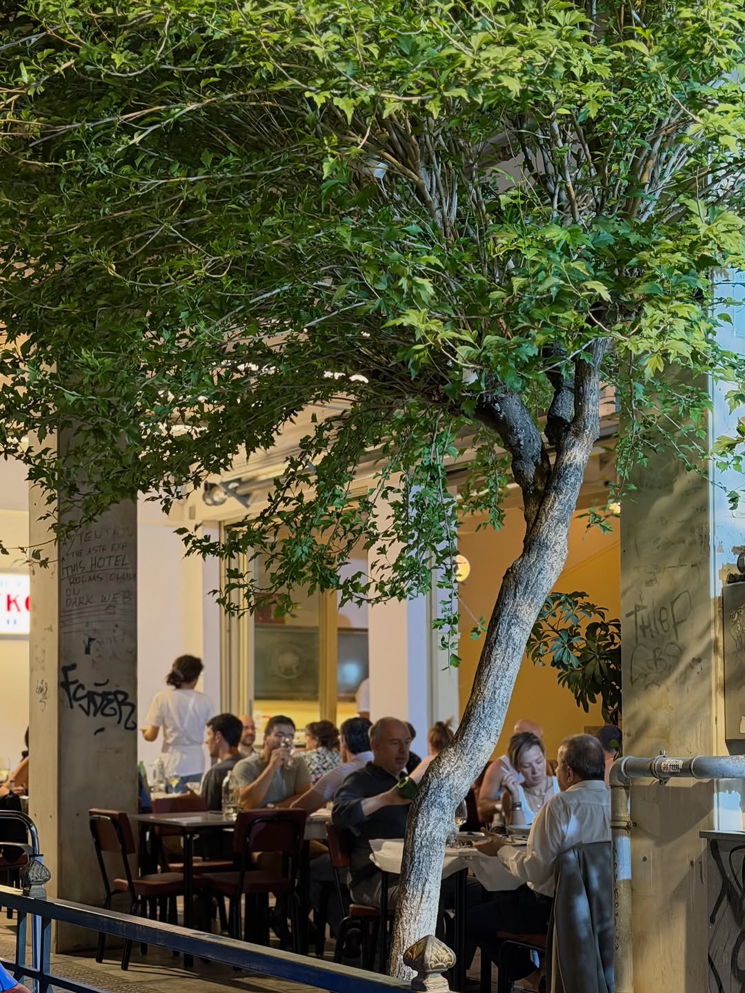 Zigoala: inviting atmosphere showing dining experience