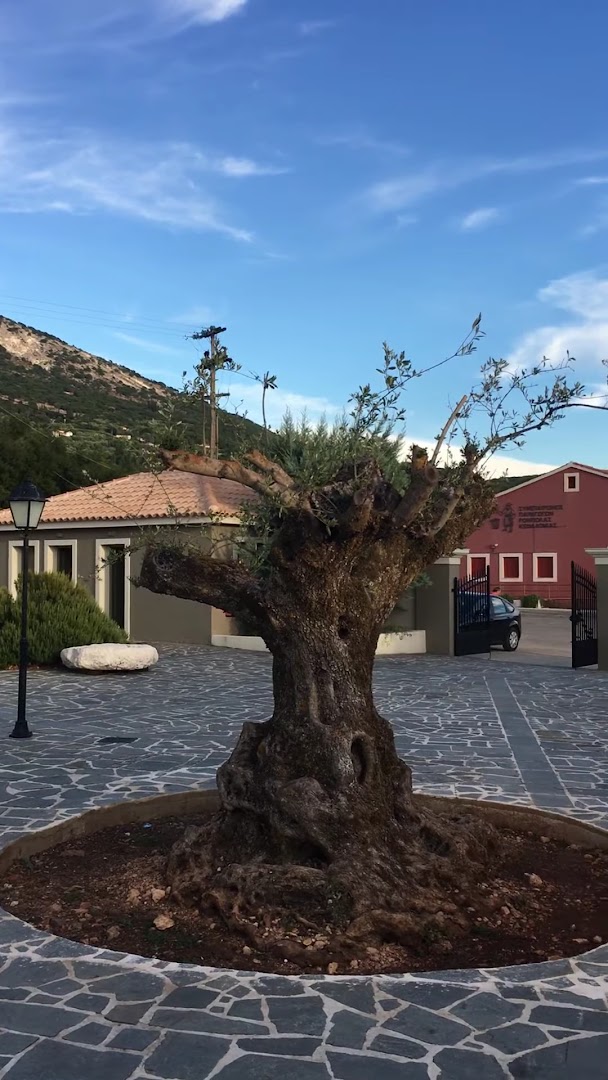 Oreálios Gaea: shop's exterior environment