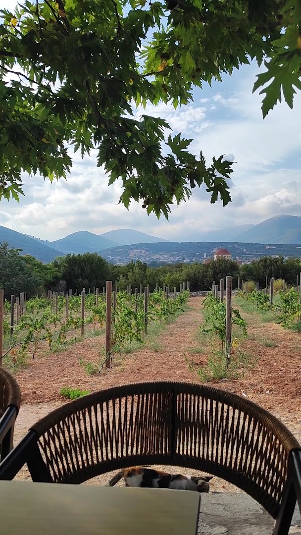 Oreálios Gaea: beautiful scenic view of vineyard