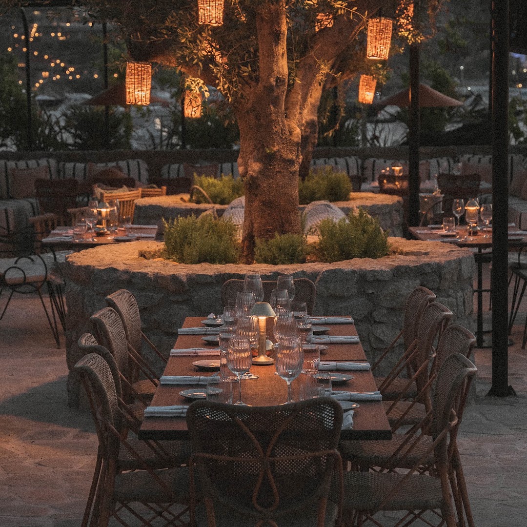 Cantine du Faubourg: beautiful atmospheric restaurant terrace shot