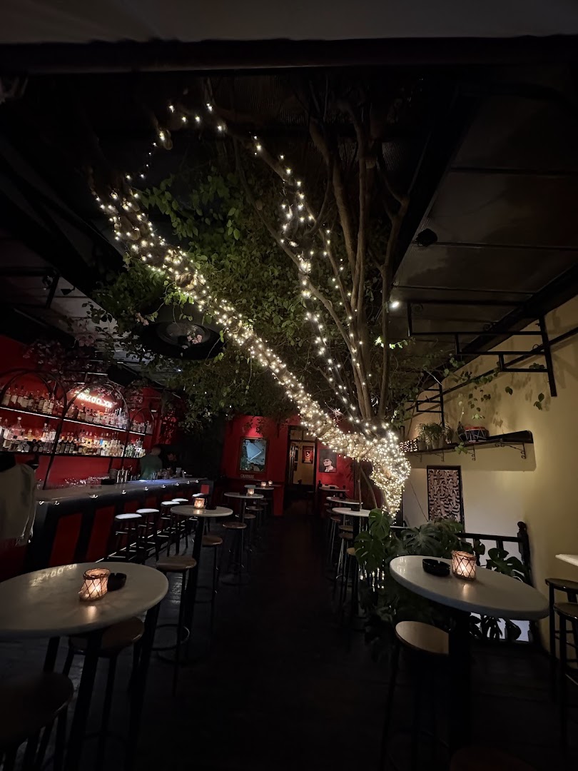Bocas: atmospheric and inviting bar interior