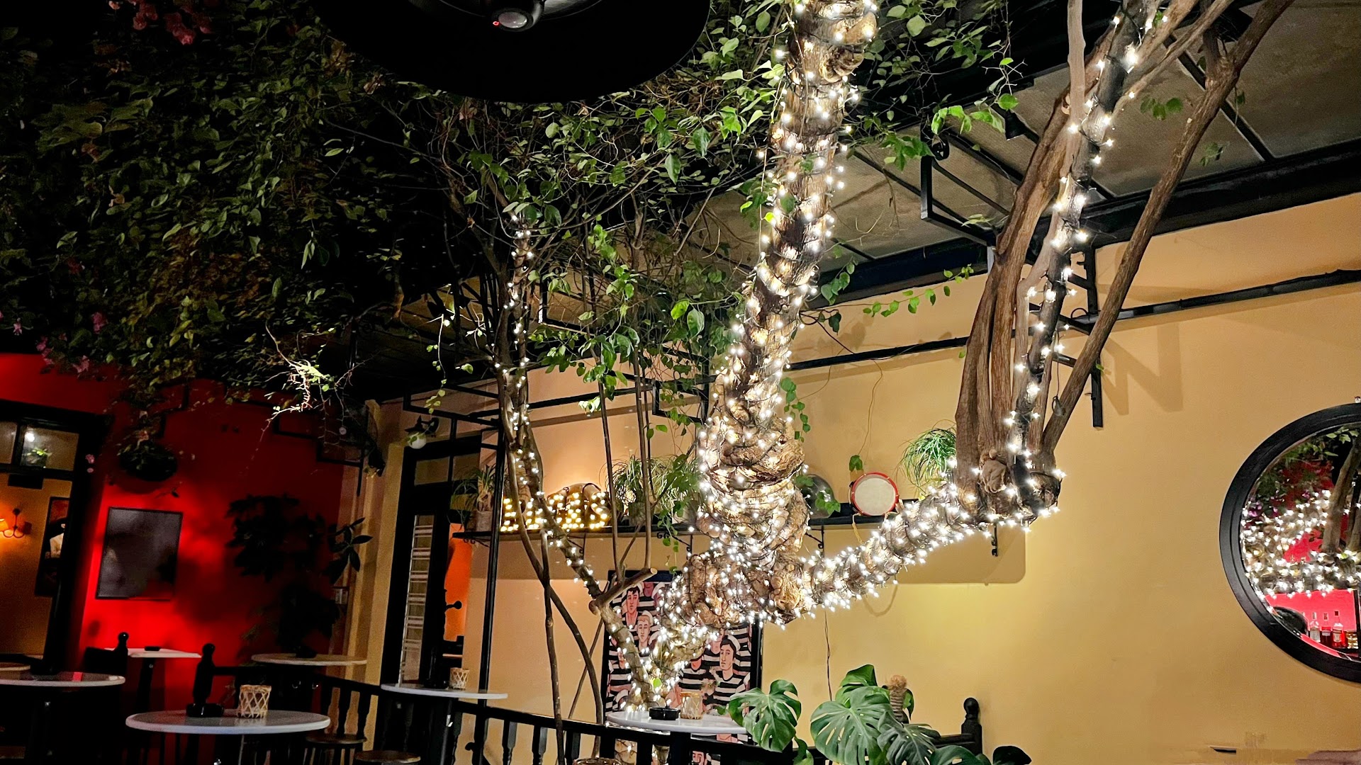 Bocas: inviting atmosphere and nice decor