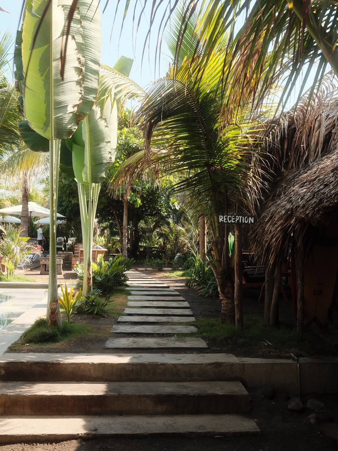 Cocorí: inviting and professional venue atmosphere