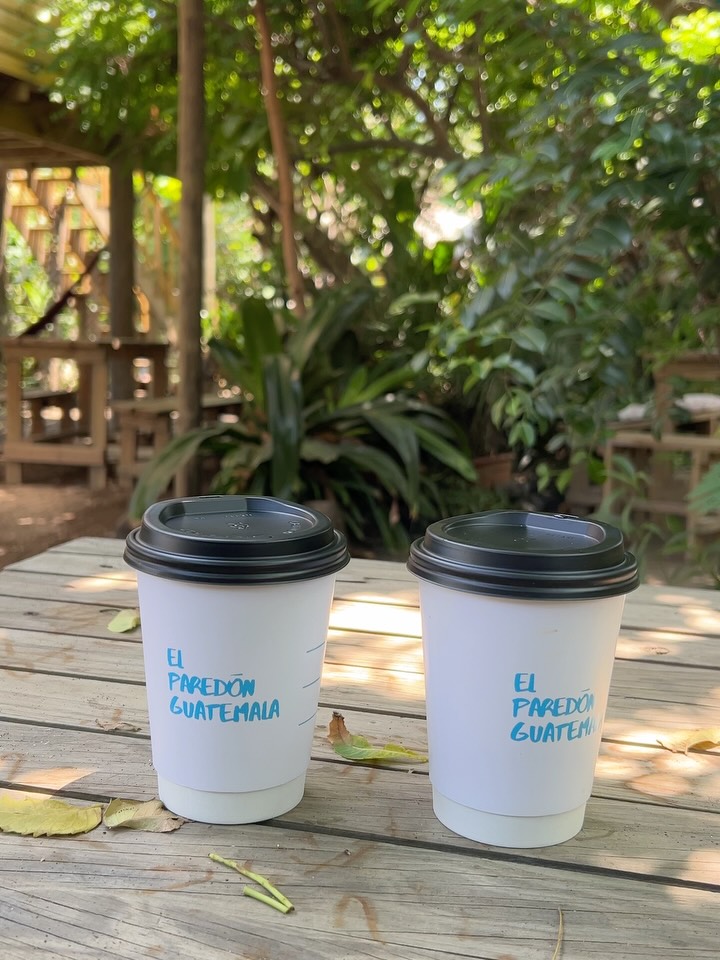 El Paredón Coffee: appealing photo of coffee cups