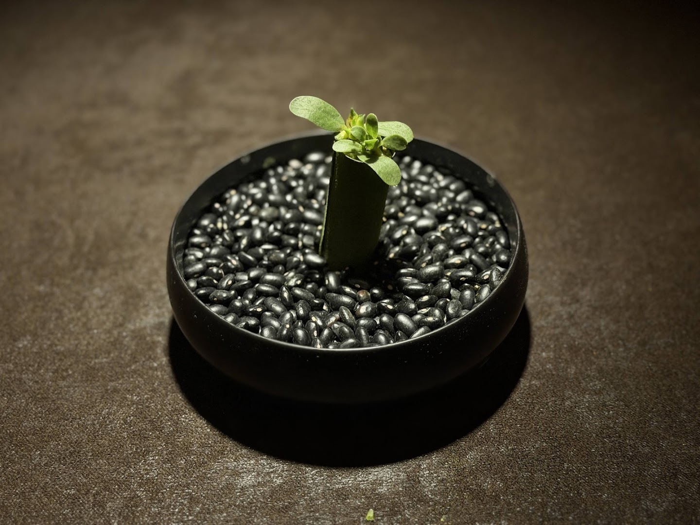 Flor de Lis: artistic and professional food presentation