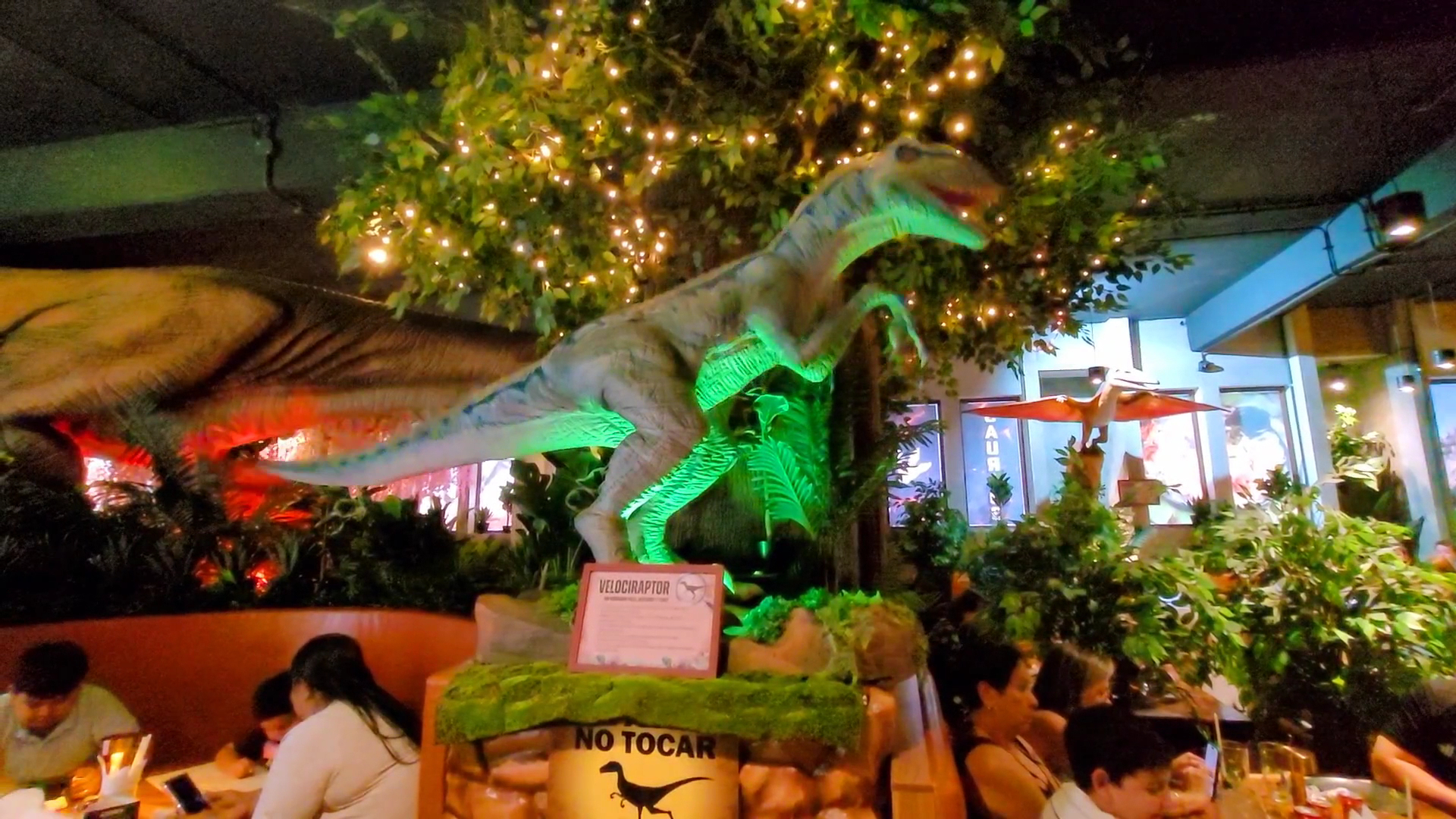 Saurios: unique restaurant atmosphere