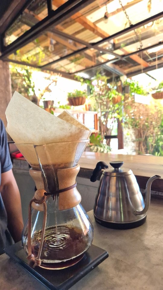 Flor de Café: high quality coffee preparation shot