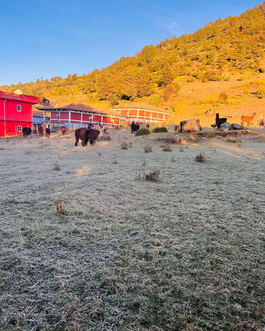 Llamas de los Cuchumatanes: venue exterior and atmosphere