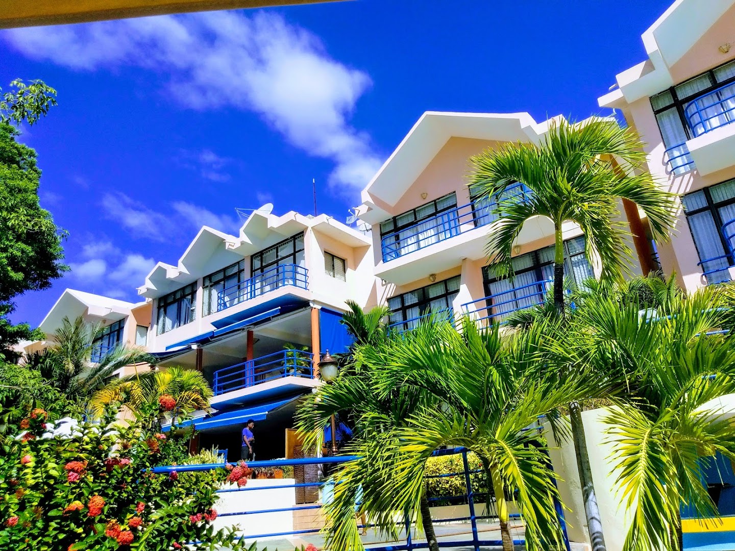 Cap Lamandou Hotel Restaurant: high quality exterior hotel shot