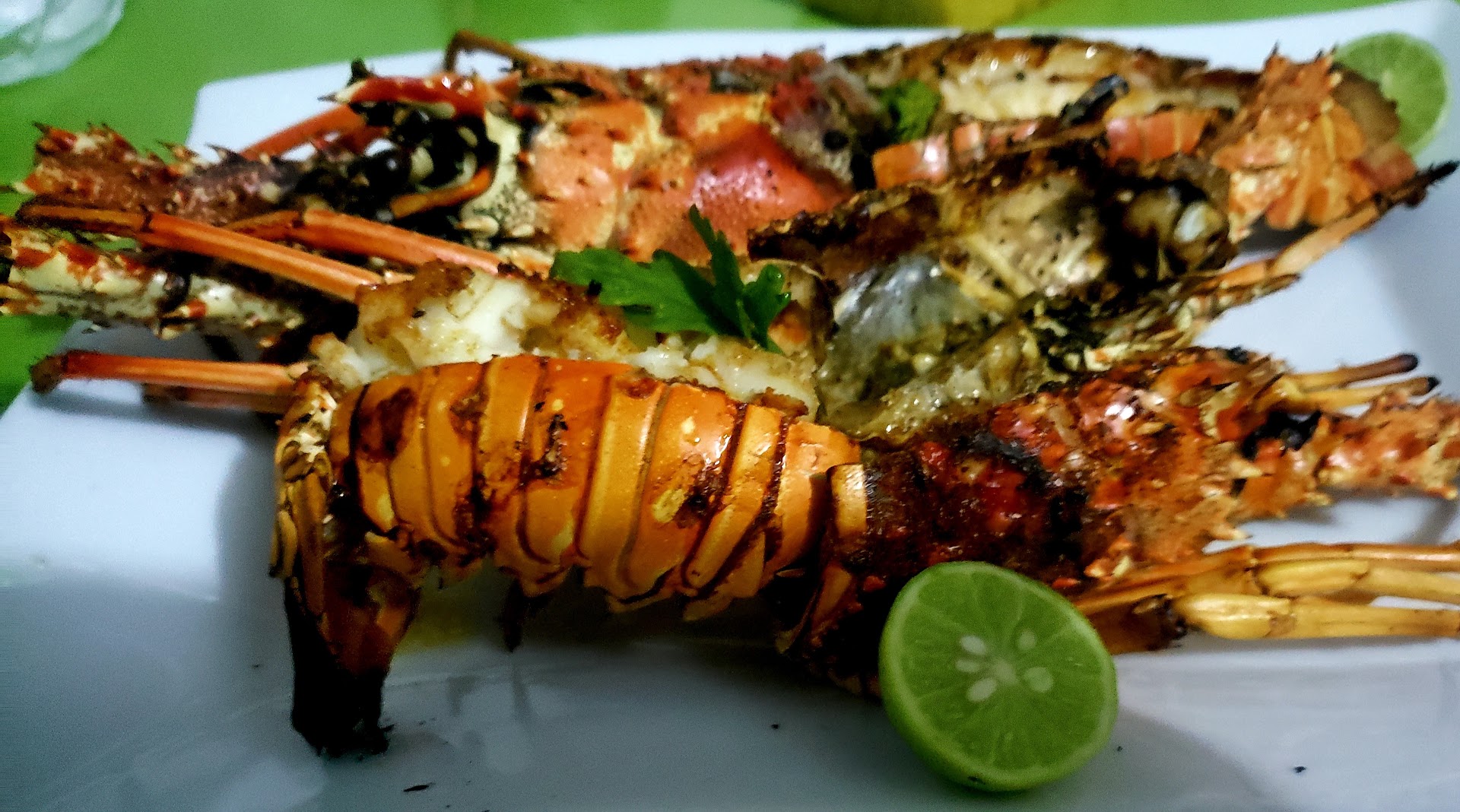 Lakou Trankil: appetizing photo of grilled lobster