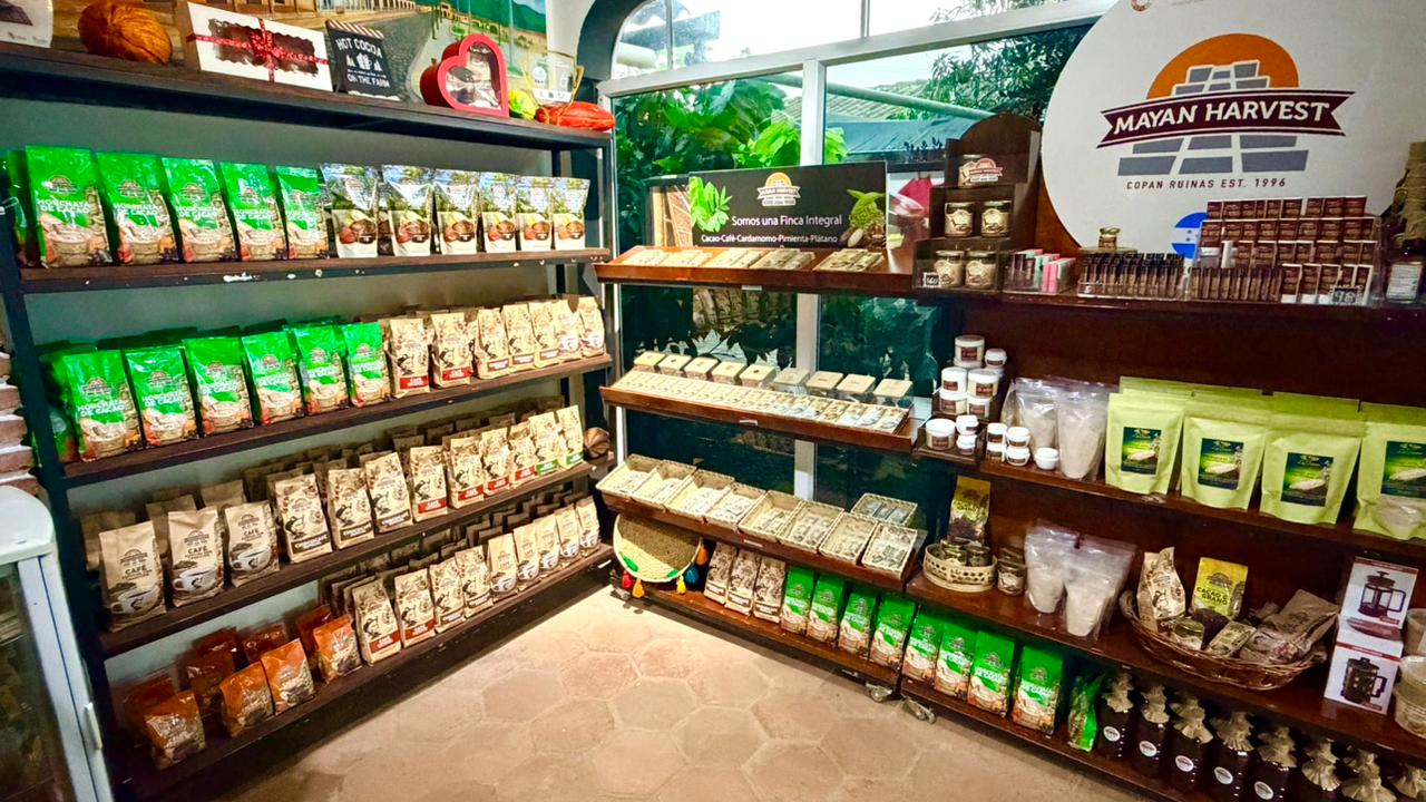 Mayan Harvest: clear display of venue products