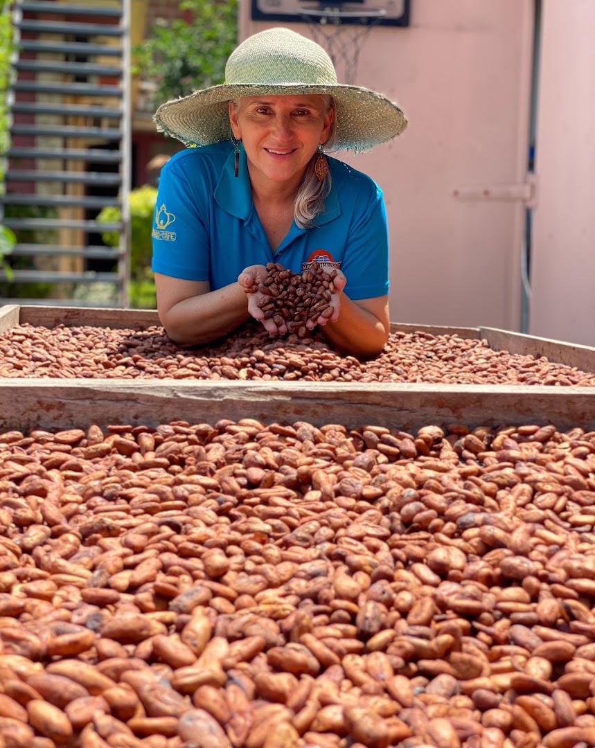 Mayan Harvest: authentic cultural venue activity