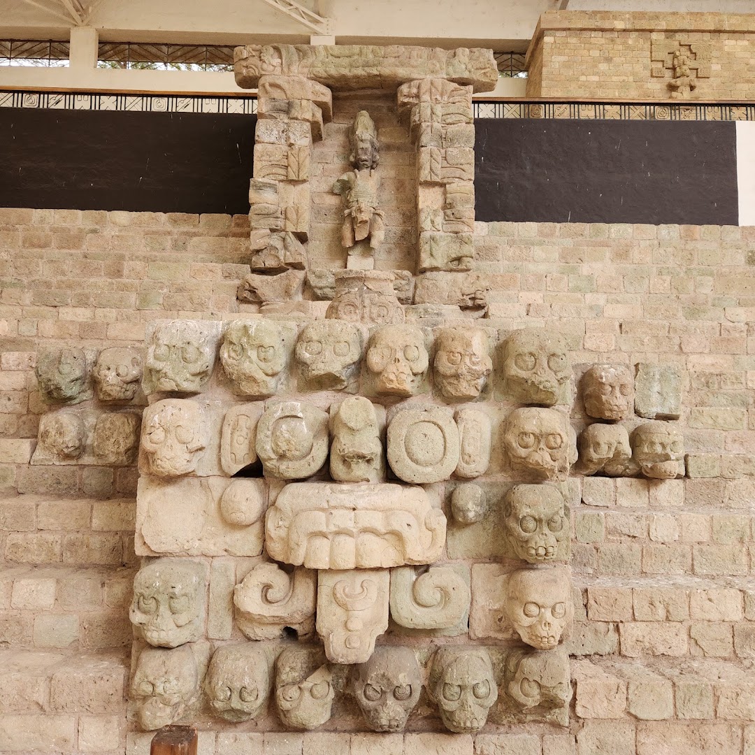 Museo Regional de Arqueología Maya: clear photo of museum collection