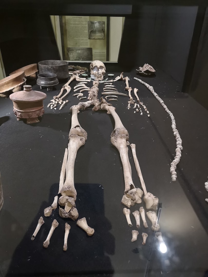 Museo Regional de Arqueología Maya: clear display of museum collection