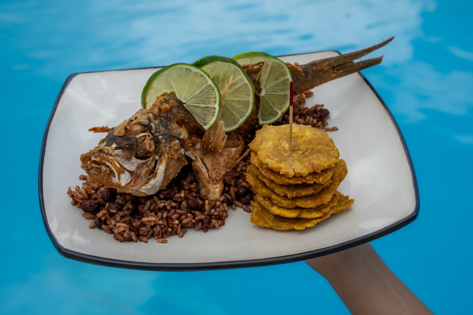 Shell Del Mar: appetizing, high-quality food photography