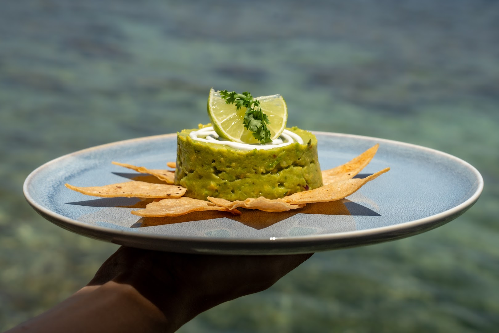 Shell Del Mar: high quality, appetizing food photo