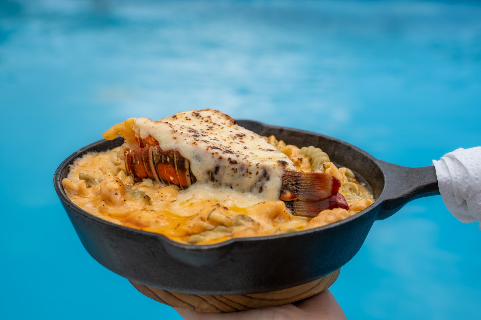 Shell Del Mar: appetizing food photography
