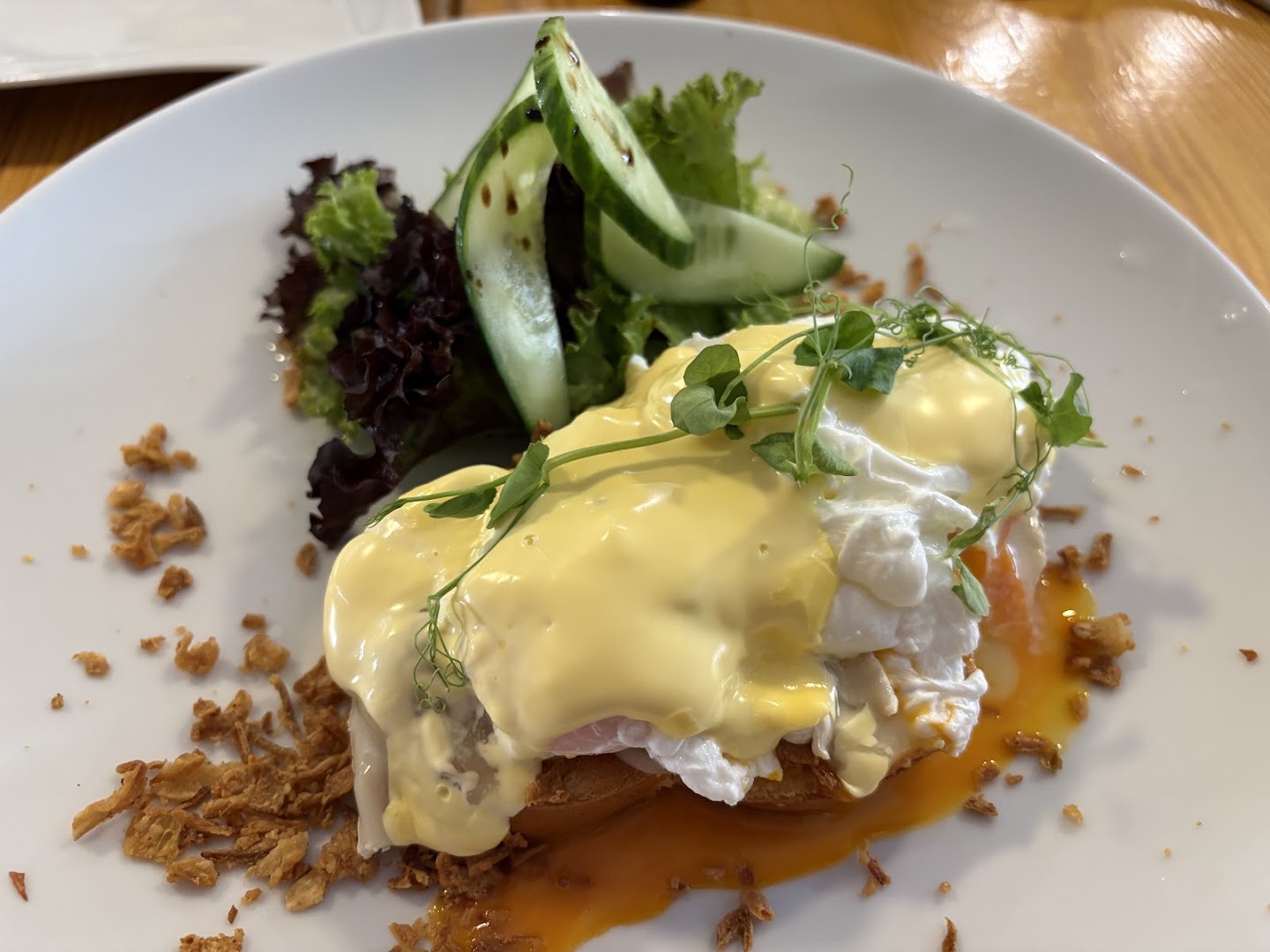 A2 Gastro Caffé: appetizing, high-quality food photo