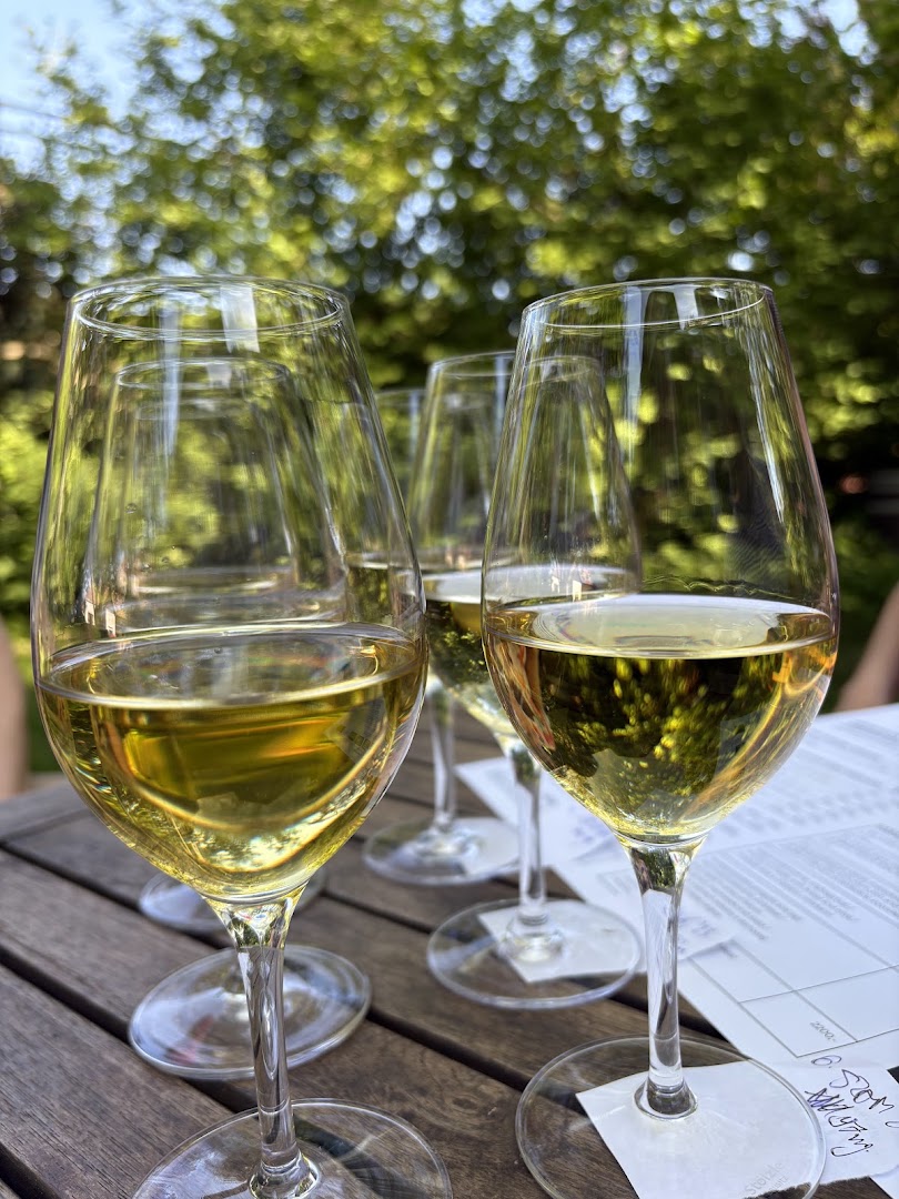 Hímesudvar: appealing wine tasting atmosphere