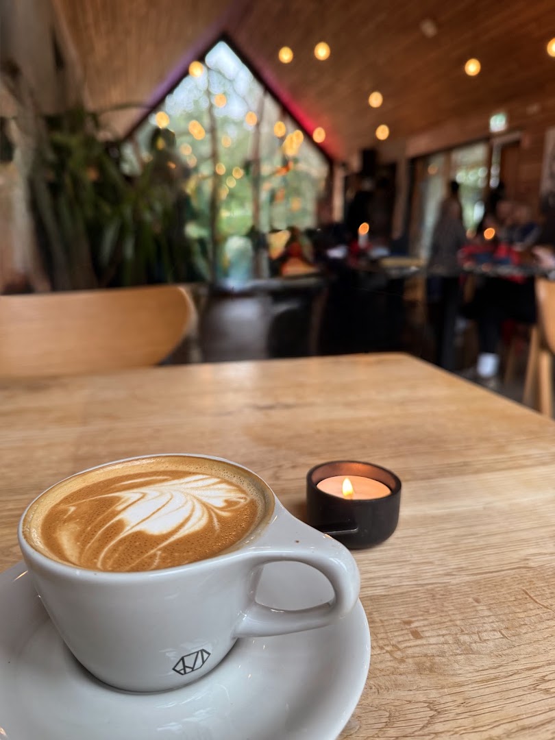 LYST: inviting atmosphere and quality shot