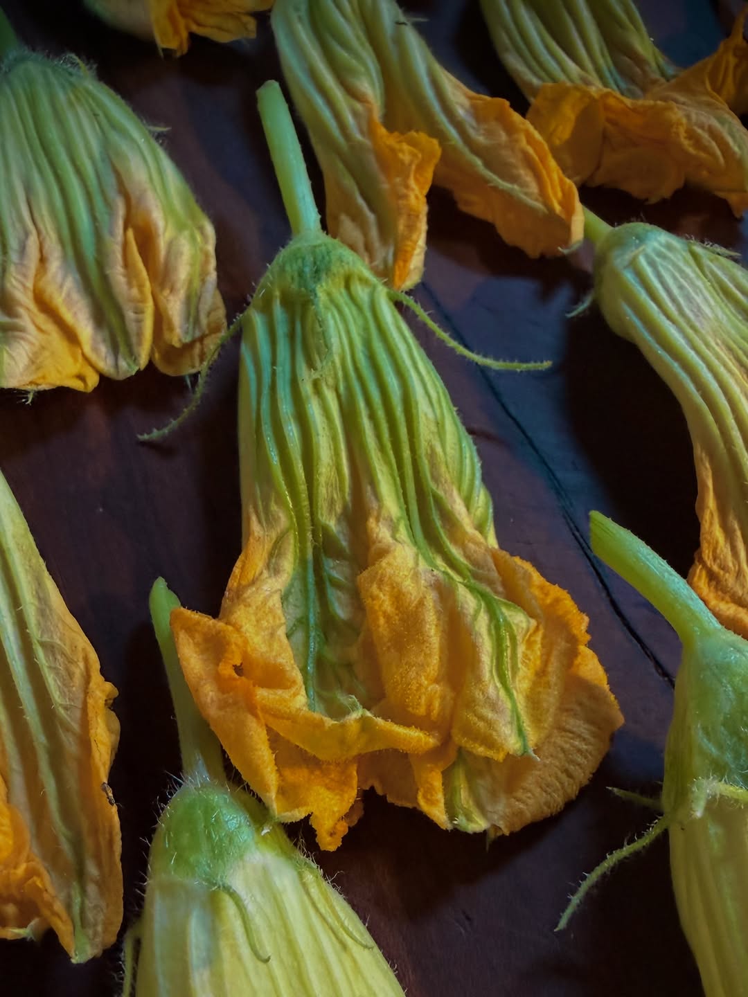 Brút: high quality food ingredient photo