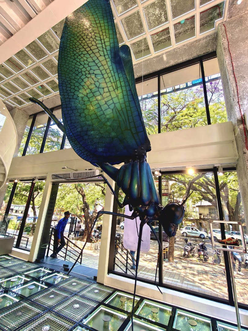 Nothing Store Bengaluru: high quality interior shop display
