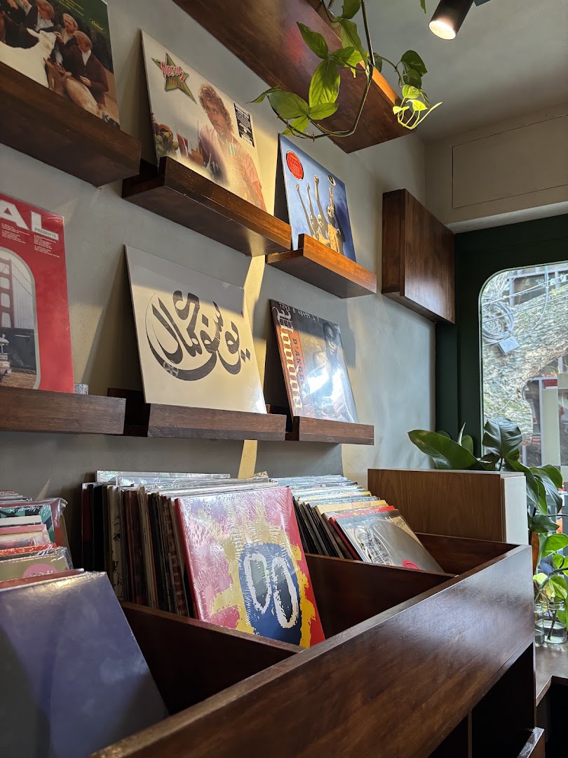 On The Jungle Floor: attractive shop interior and products