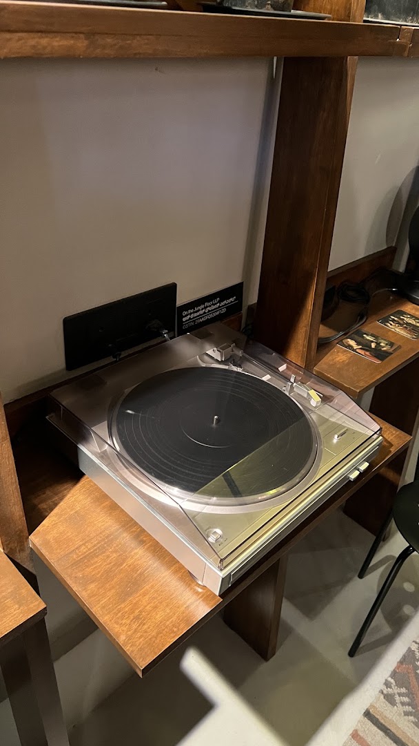 On The Jungle Floor: clear product display in shop