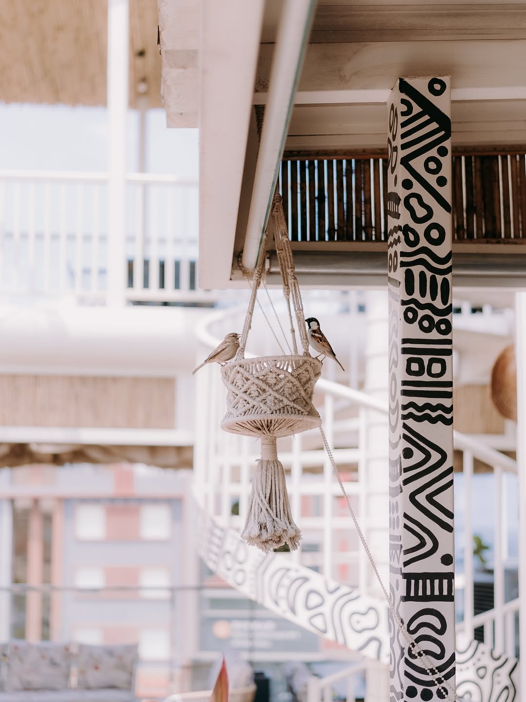 Dorothea: aesthetic venue atmosphere photo